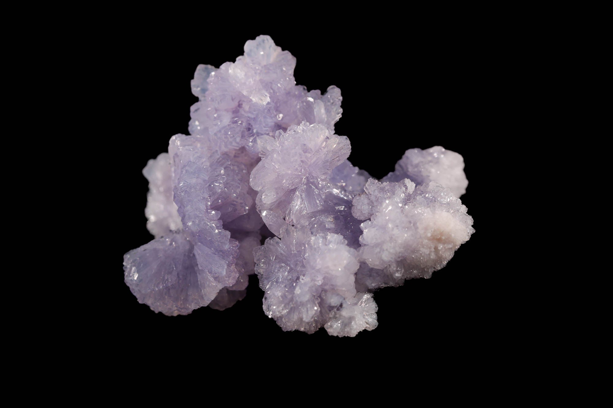 Purple Creedite